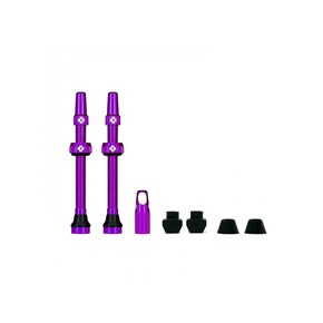 Nunc congue dui nec...