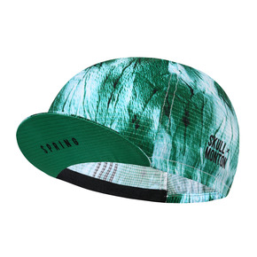 Nunc congue dui nec...